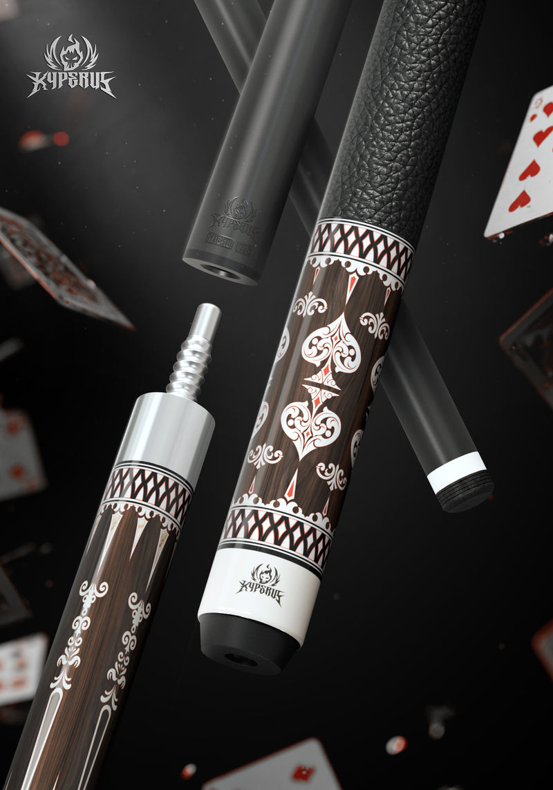 Proviace Pool Cue